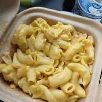 Mac and credo cashew Cheese at Project Pollo in Austin