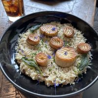 Scallop risotto  at Astoria Bistro Botanique in Gatineau