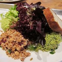 Happy vegan salad  at Tender Greens in Irvine