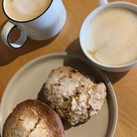 blueberry muffin and cranberry chocolate orange scone   at Le Petit Monstre in Brooklyn