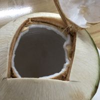 fresh coconut  at Ming Kwan - Suthep in Chiang Mai