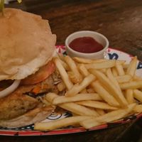   at Elephant in Koh Lipe