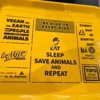 Cute serving tray   at ByTOFU in Seoul