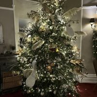 Christmas tree #Veganuary at The Mortal Man in Troutbeck