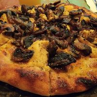 Fungus Among Us at Layla Restaurant Plants & Mushrooms in Puerto Morelos
