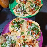 4 different flavors of tacos at Perro No Come Perro in Tulum