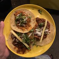 Deliciosos at Perro No Come Perro in Tulum