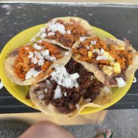   at Perro No Come Perro in Tulum