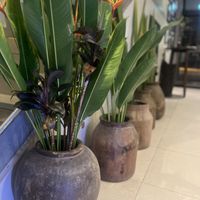 Beautifully styled hotel and dinning area  at The Raw Kitchen Malaysia in Kuching