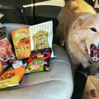 Pumpkin offerings!! at Trader Joe's - Castleton in Indianapolis