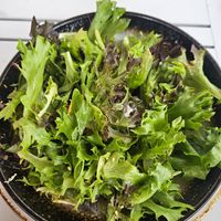  at Ti Tree Cafe in Waihi