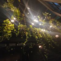  at The Black Box Provisions & Restaurant Naga in Kuta