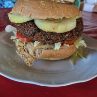 Falafel Burger at Veggie Veggie in Puerto Morelos