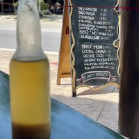 Home brewed kambucha and menu in the back at Veggie Veggie in Puerto Morelos
