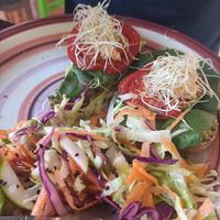 Avo toast at Veggie Veggie in Puerto Morelos