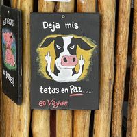  at Veggie Veggie in Puerto Morelos