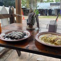 Mole and green enchiladas  at Veggie Veggie in Puerto Morelos