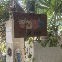   at Veggie Veggie in Puerto Morelos