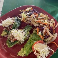 Avocado Toast  at Veggie Veggie in Puerto Morelos