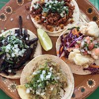 The four types of tacos  at Veggie Veggie in Puerto Morelos