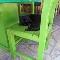  at Veggie Veggie in Puerto Morelos