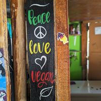  at Veggie Veggie in Puerto Morelos