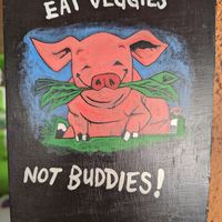  at Veggie Veggie in Puerto Morelos