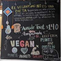  at Veggie Veggie in Puerto Morelos