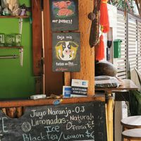  at Veggie Veggie in Puerto Morelos