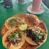 Taco selection  at Veggie Veggie in Puerto Morelos