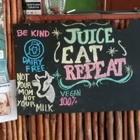 Vegan at Veggie Veggie in Puerto Morelos