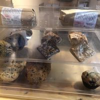 Baked goods at Nine Lives Cat Café in Indianapolis