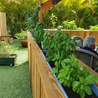  at Hamlet's Eatery  in Sarasota