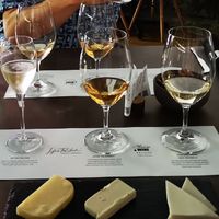 Vegan Cheese and Wine Tasting at Life's Too Short Bar in East Melbourne