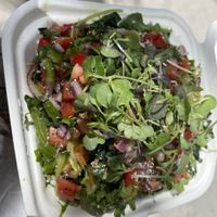 Pico lettuce n micro green   at Aunts et Uncles in Brooklyn