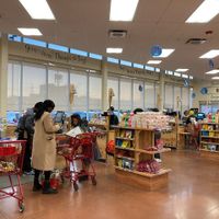 Checkout at Trader Joe's in Woodmere