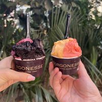 Mixed berry 🫐 and chocolate 🍫 & melon 🍉 and strawberry 🍓   at Borgonesse in Alicante