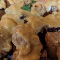 Queso Fundito Nachos - tater tots, cashew queso, vegan chorizo, cilantro at Galaxy Hut in Arlington