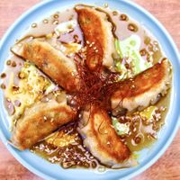 Pot stickers  at Vego Delish in Perth