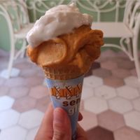 Vegan ice cream  at Puro & Bio in Ravenna