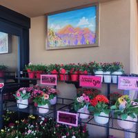   at Trader Joe's in Phoenix