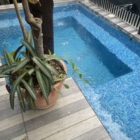 Pool in restaurant   at Coral Restaurante in Cozumel