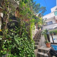 Steep staircase but beautiful scenery at Coral Restaurante in Cozumel