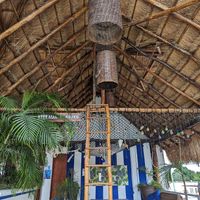  at Coral Restaurante in Cozumel