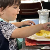   at Zayka Indian Cuisine in Springfield