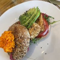 African jungle vegetal  at Organic Jungle in Gran Canaria