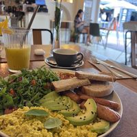 Vegan jungle sunrismonkey  at Organic Jungle in Gran Canaria