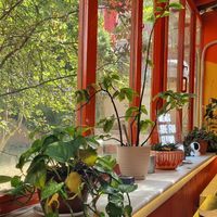  at Junk Vegan in Ankara