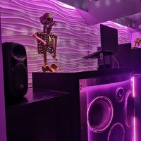 The DJ at Monster Vegan in Philadelphia