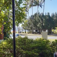 View from my terrace table at Guyala Cafe in Cairns